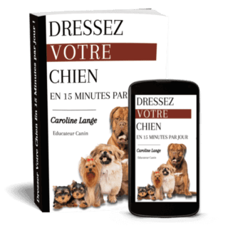 Dressez votre chien