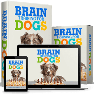 Brain Training for Dogs