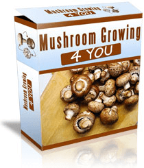 Mushroom Growing 4 You